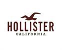 Hollister Co